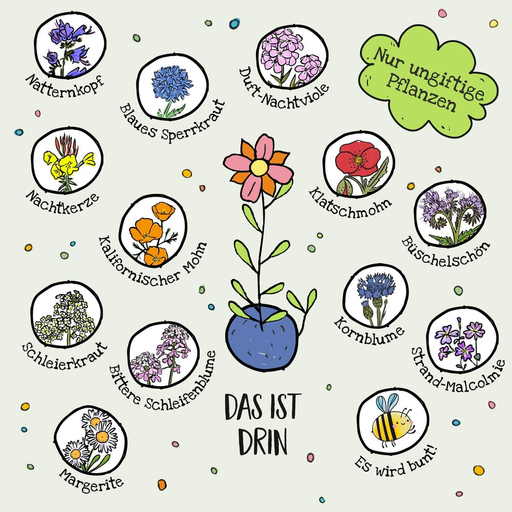 Die Stadtgärtner I 500 Bunte Blumenmurmeln – Lose & Unverpackt Zum Basteln Und Verschenken I Natürliche Geschenke Und Mitgebsel Für Kinder & Erwachsene