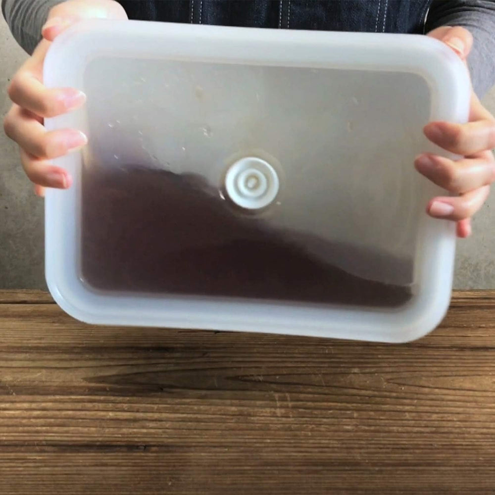 Staniu de depozitare a alimentelor în vid emailat | XL | 1.85L | 23.5 x 17.5 x 7cm | păstrează alimentele proaspete pentru mult mai mult timp | protejează alimentele de bacterii și infestare fungică | fără pompă de vid Cutii depozitare alimente Naty Shop