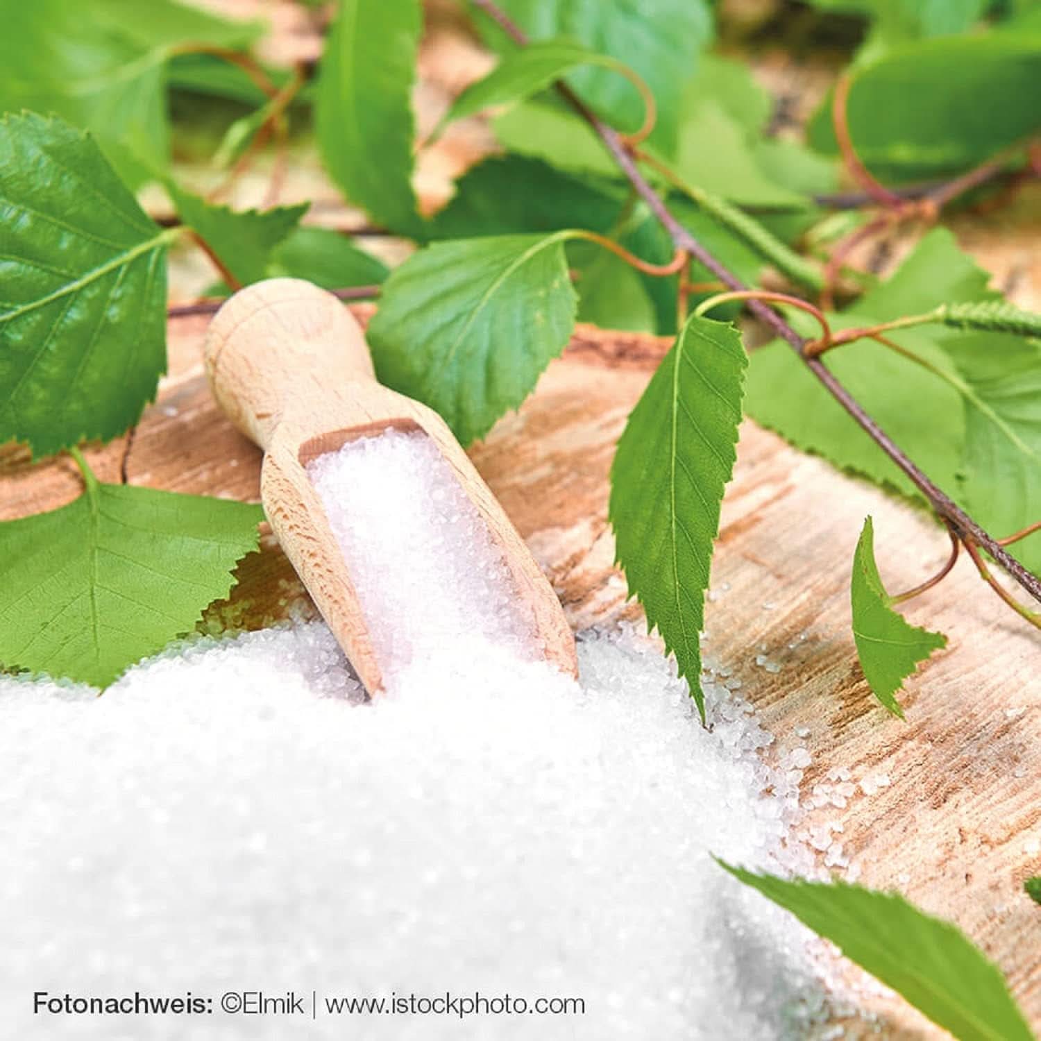 Raab Vitalfood Premium, Zahăr de mesteacăn cu indulcitor Xilitol, Vegan, 1:1 Alternativă la zahăr, 300 grame Indulcitori Naty Shop