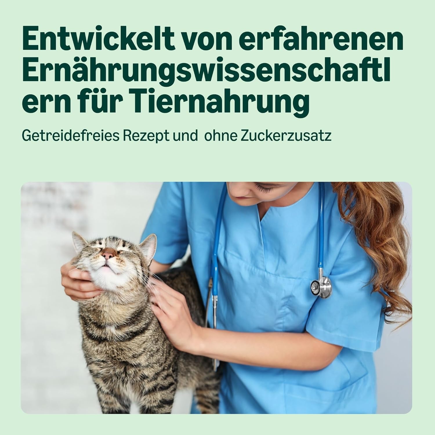 Hrană umedă pentru pisici fără cereale de la Amazon, la conservă, bucăți de pui în jeleu, 12 x 405 g