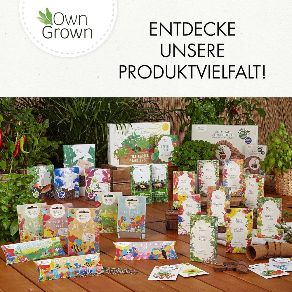 Wildkräuter Samen: Bunte Premium Kräuter Samen Mischung mit Löwenzahn Samen, Sauerampfer, Spitzwegerich uvm – Unkraut Samen Mix für Garten, Balkon – Kräuter Pflanzen Saatgut alte Sorten von OwnGrown
