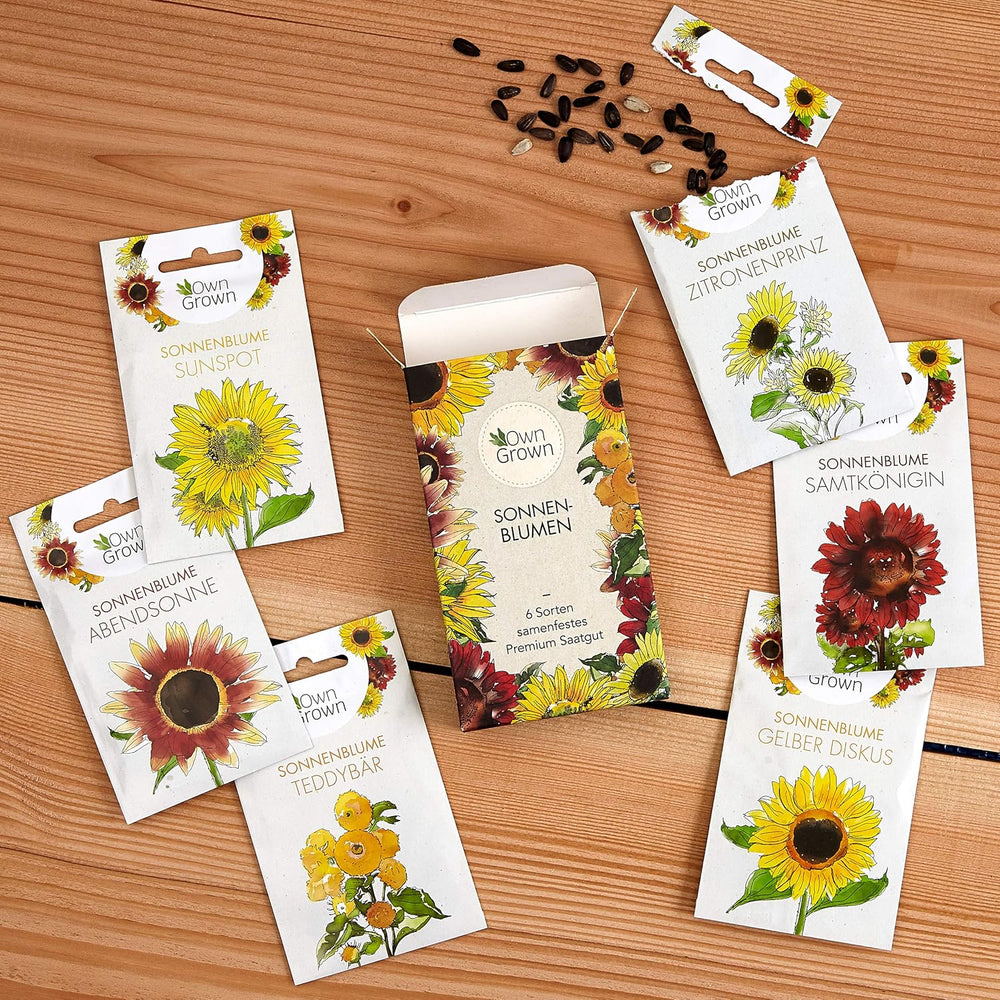 Semi di girasole Discus gialli (Helianthus annuus): semi di girasole premium, semi di girasole per coltivare circa 20 piante di girasole - Semi di fiori adatti agli insetti da OwnGrown