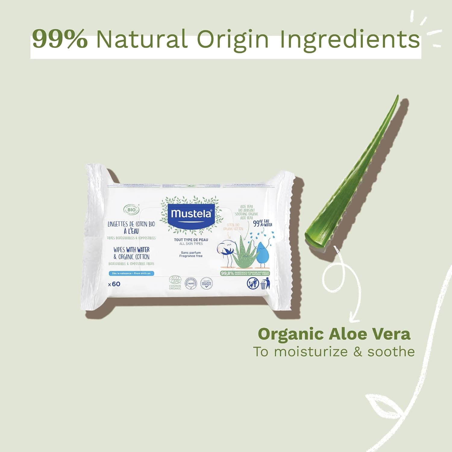 Lingette Coton À L'Eau 60 pz