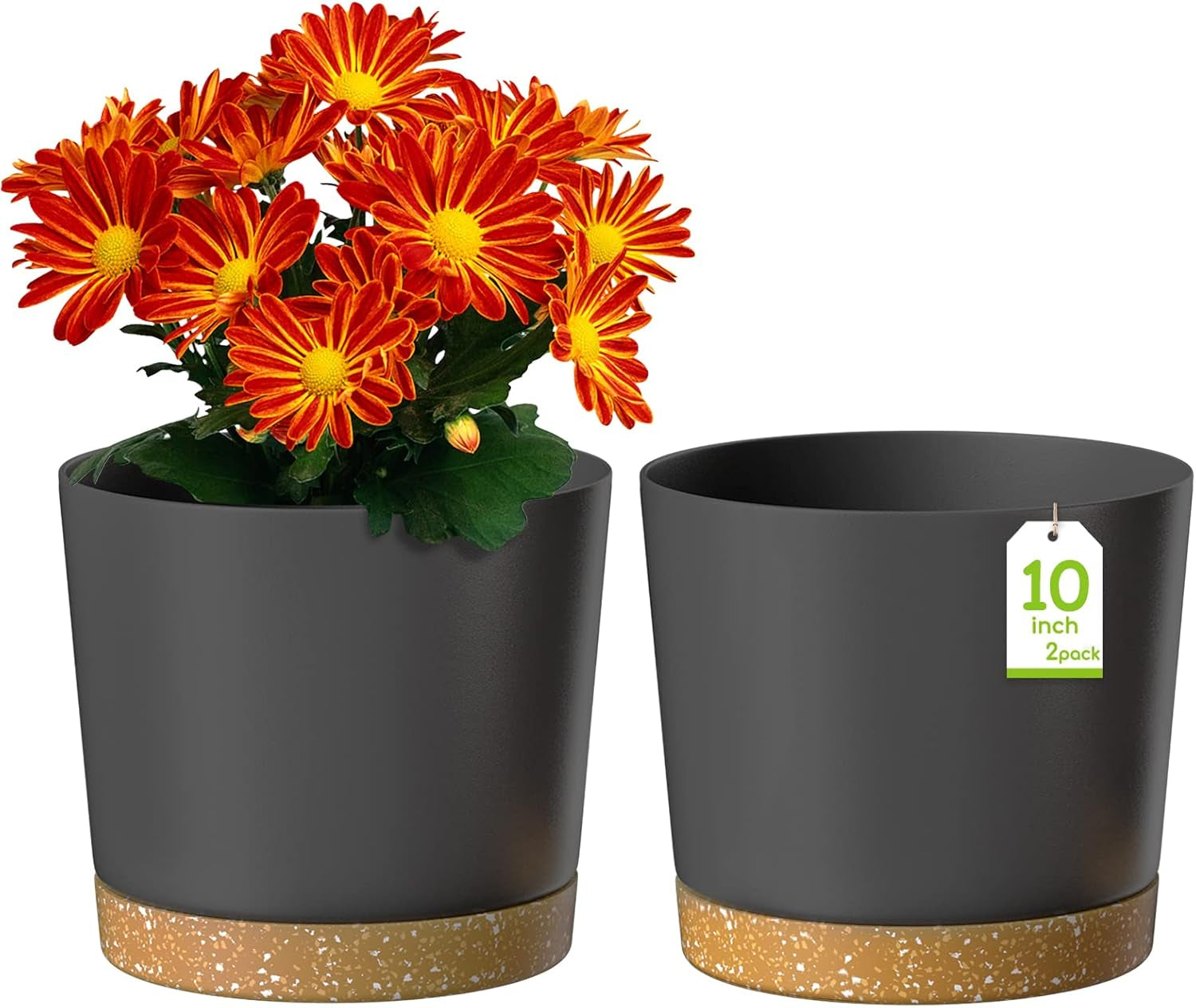 Ghiveci de flori ZMTECH cu diametrul de 25 cm pentru plante de apartament, ghivece de flori din plastic cu farfurie și găuri de drenaj, ghivece rotunde pentru plante de interior și exterior (set de 2, alb)