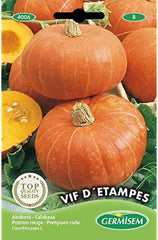 Kürbis DE ETAMPES, Mehrfarbig, EC4006