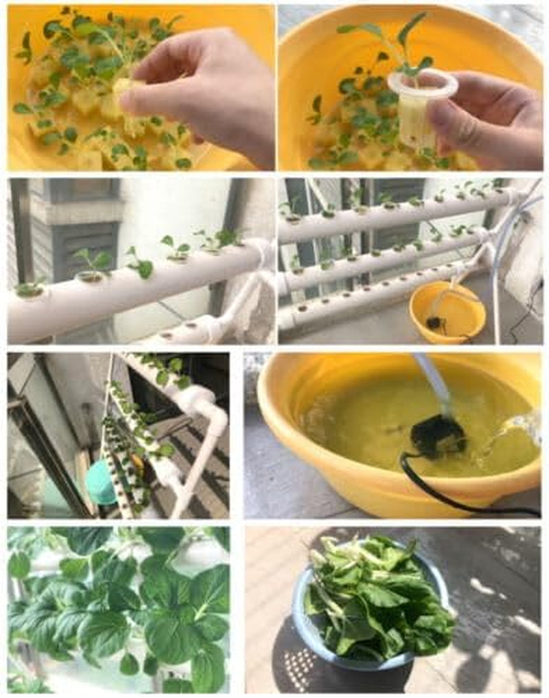 Pflanzen Pflanze Kit di coltivazione per sistema idroponico 90 siti di piante Drei Layer Satz GemüSe Tool Garten Systeme Plant Vegetale Hydrokultur Hydroponische Garden Hydroponik Anbausystem PflanzpläTzen 3Schicht