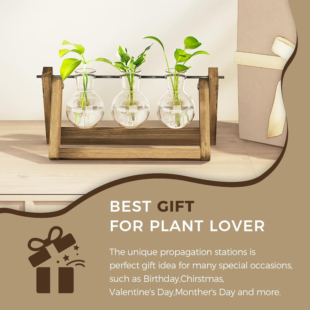 Stazione di propagazione idroponica Bamworld con supporto in legno - 3 vasi in vetro per la coltivazione di piante acquatiche e la decorazione della casa