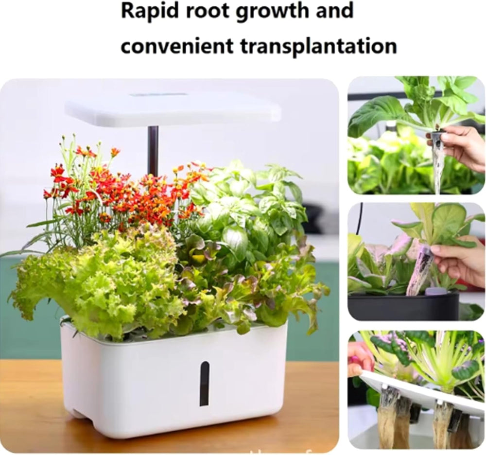 50 spugne di ricambio per coltivazione, tubi per la stabilizzazione dei semi, tappi per spugne per la coltivazione delle radici, kit di coltivazione idroponica per sistemi di coltivazione idroponica, coltura idroponica per interni, giardino