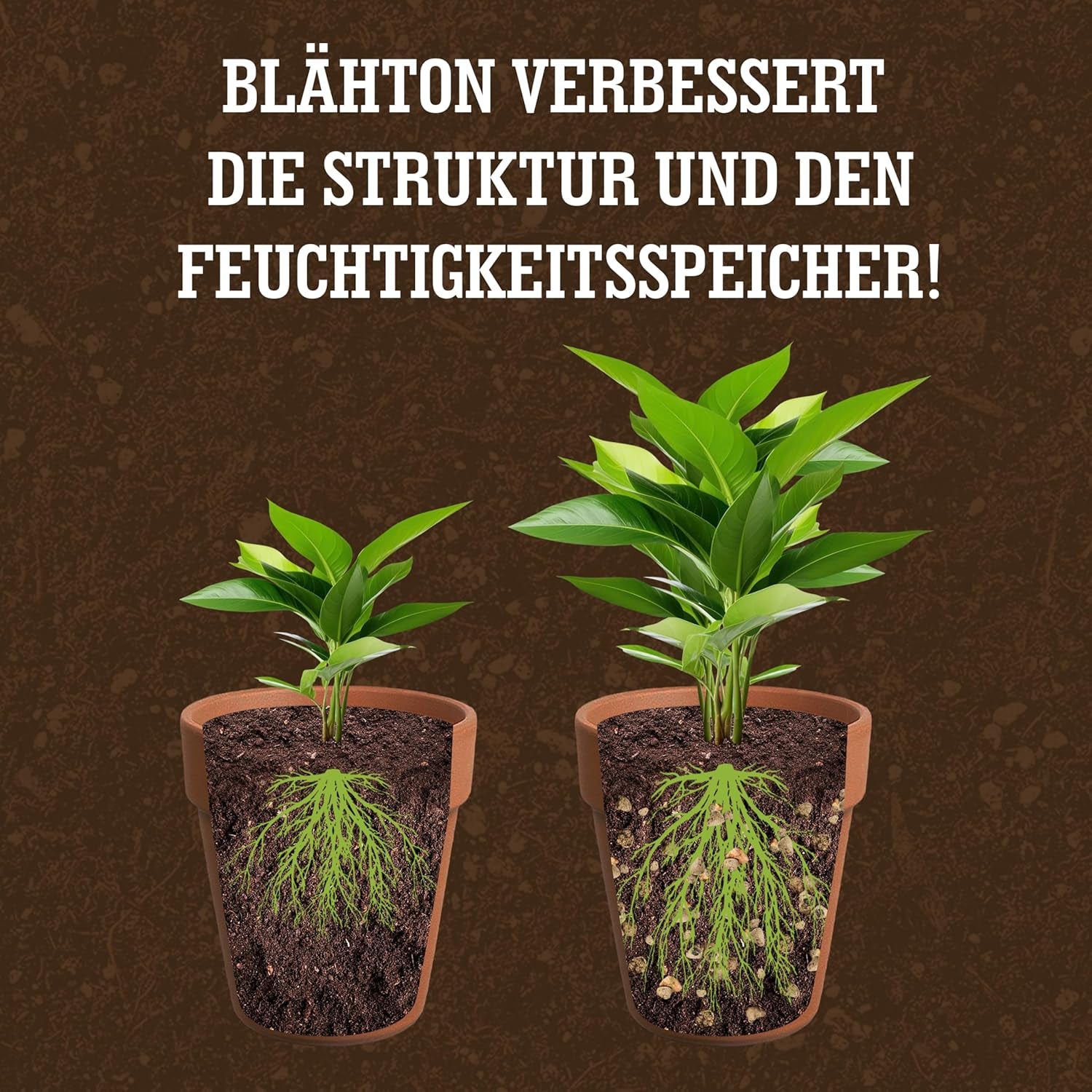 LERAVA® Argilla espansa (1L) – Granuli di argilla per piante d'appartamento e coltura idroponica – Argilla vegetale con pH neutro per un drenaggio ottimale – Ideale come strato drenante o granuli di argilla decorativa per piante