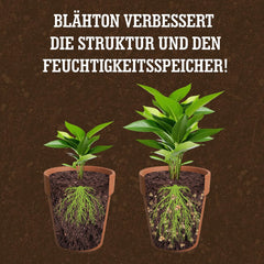 LERAVA® Argilla espansa (1L) – Granuli di argilla per piante d'appartamento e coltura idroponica – Argilla vegetale con pH neutro per un drenaggio ottimale – Ideale come strato drenante o granuli di argilla decorativa per piante