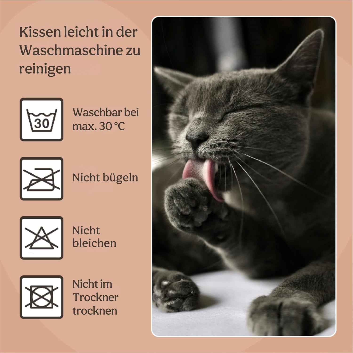 Paturi, cuverturi & mobilier, animale de companie, pisici, paturi pisici, Pisici - culcusuri, saltele