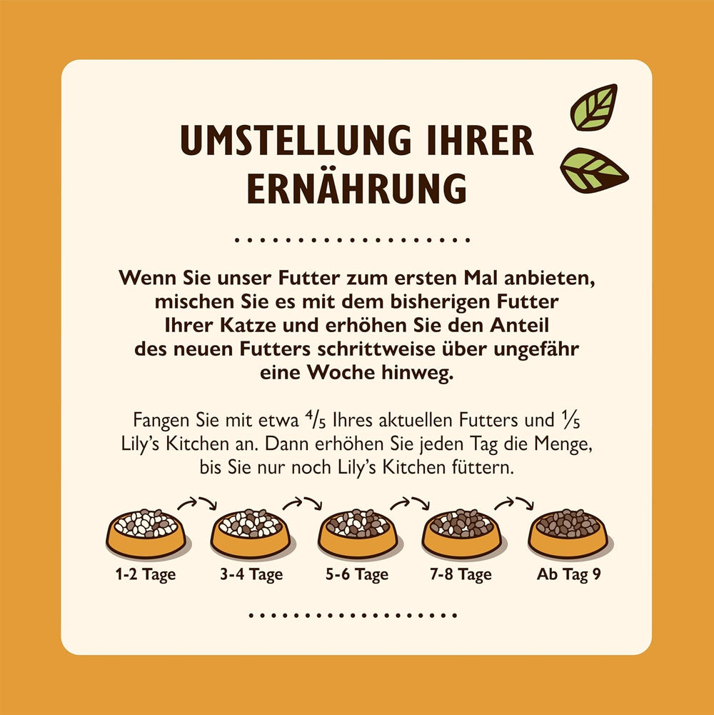 Lily's Kitchen, hrană umedă pentru pisici adulte, preparată cu ingrediente naturale, Delicious Chunks in Gravy, pachet multiplu, 8 cutii x 85g