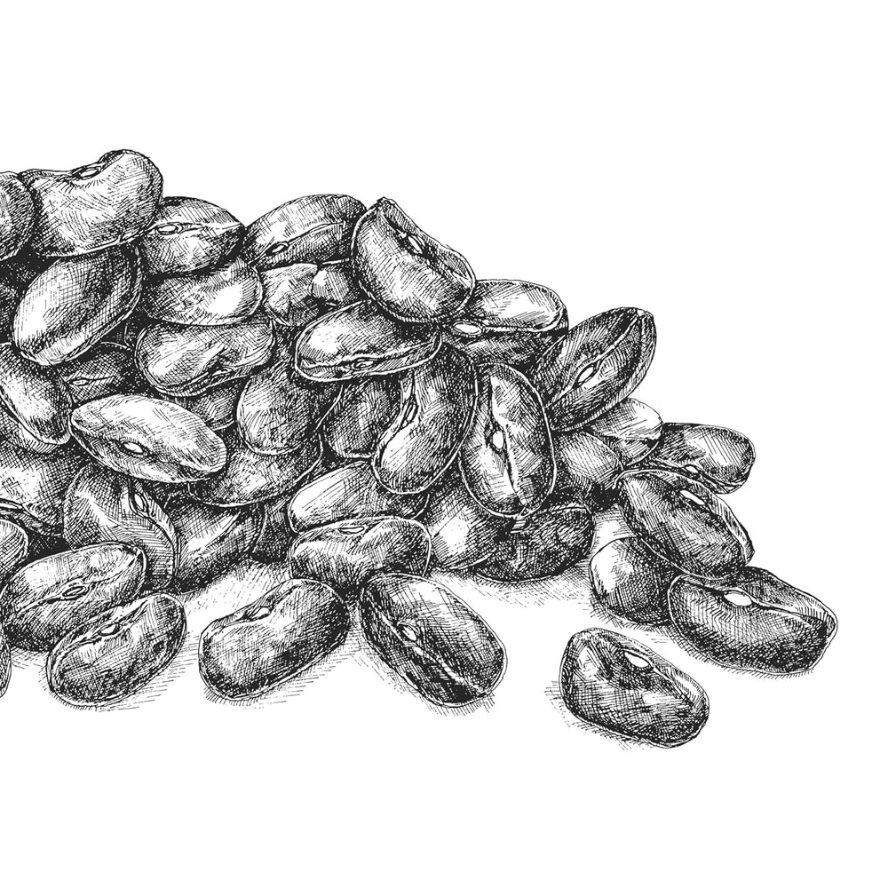 BioGourmet Lenticchie Beluga Demeter, 250g