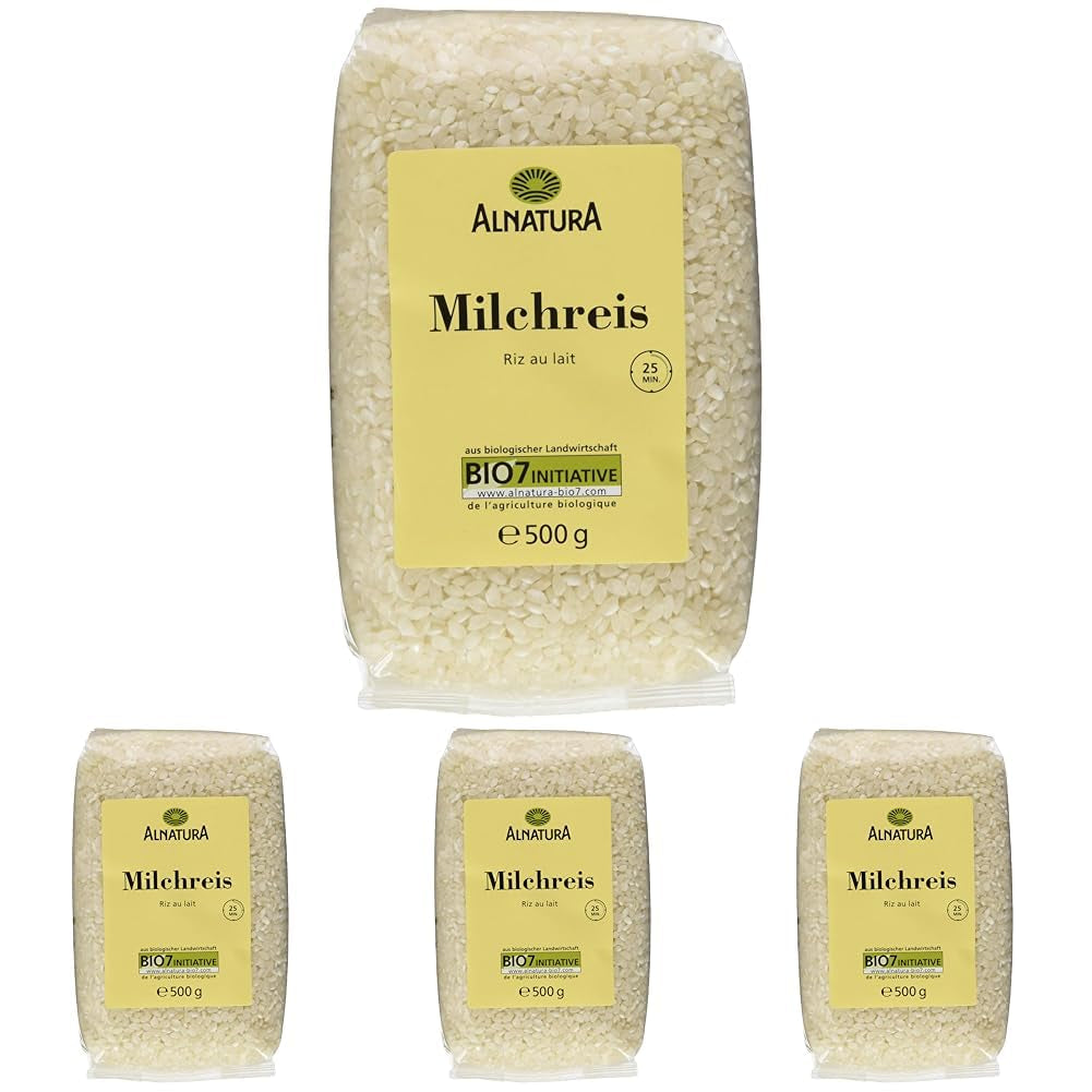 Budino di riso biologico, 500 g (confezione da 4)