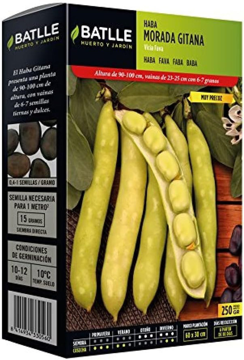 Samen Batlle – Haba Frühe Bohne Carmen, Lang 1 Kg