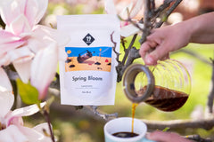 Filtru Spring Bloom | 250 g boabe întregi | echitabil și sustenabil | proaspăt prăjit | boabe de cafea 100% Arabica | cafea specială | 19 grame Cafe Roastery…