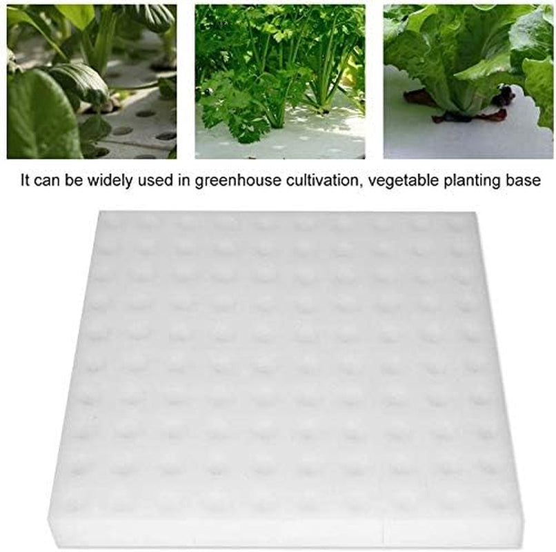 Spugna idroponica, 100 pezzi di spugne idroponiche per la coltivazione di semi, strumento da giardinaggio per piccole piante o piantine