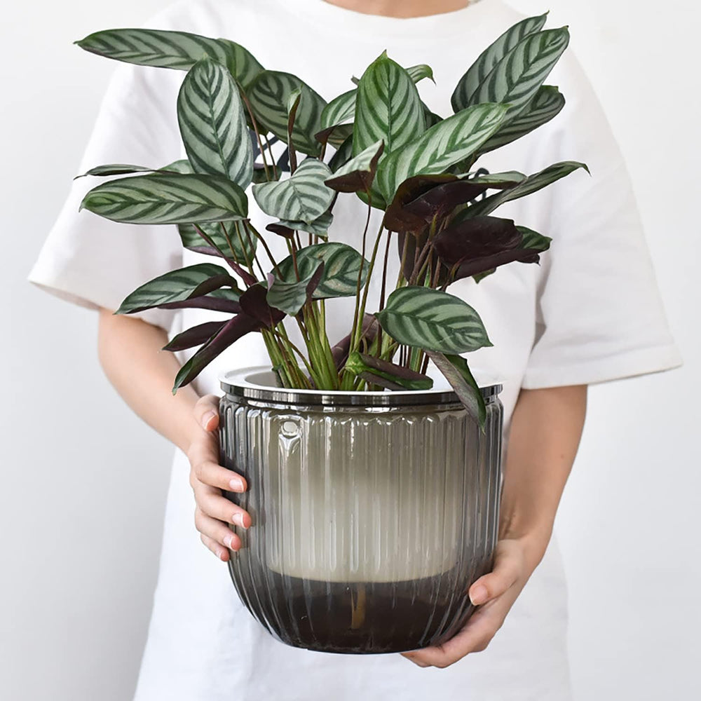 Set di 2 fioriere sospese autoirriganti, vaso da fiori sospeso per interni da 16,5 cm con 3 ganci e fori di drenaggio per uso interno ed esterno, decorazione per soffitto, balcone e parete (Grigio)