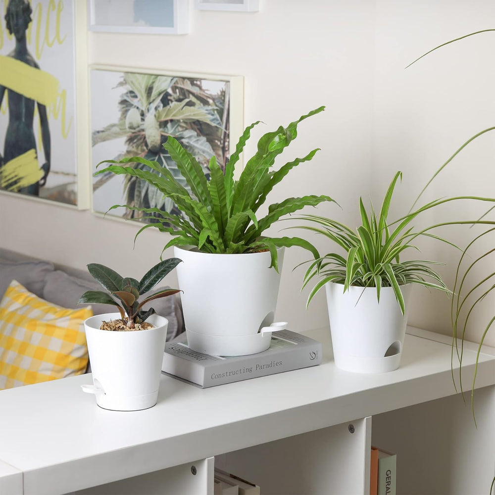 T4U Vasi da Fiori in Plastica da 14 cm con Sistema di Irrigazione, Set di 6 Vasi da Fiori e Sottovasi Autoirriganti, Vasi Rotondi per Piante da Giardino da Balcone Interno, Piante Grasse, Cactus, Bianco