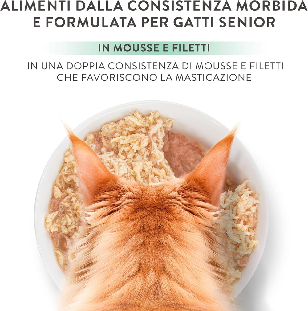 Silver, Pui cu Mousse de Rață și Fileuri, Hrană Umedă Completă pentru Pisici Senior, Fără Cereale, Suport Imunitar, Sursă de Umiditate, 12 x 70g