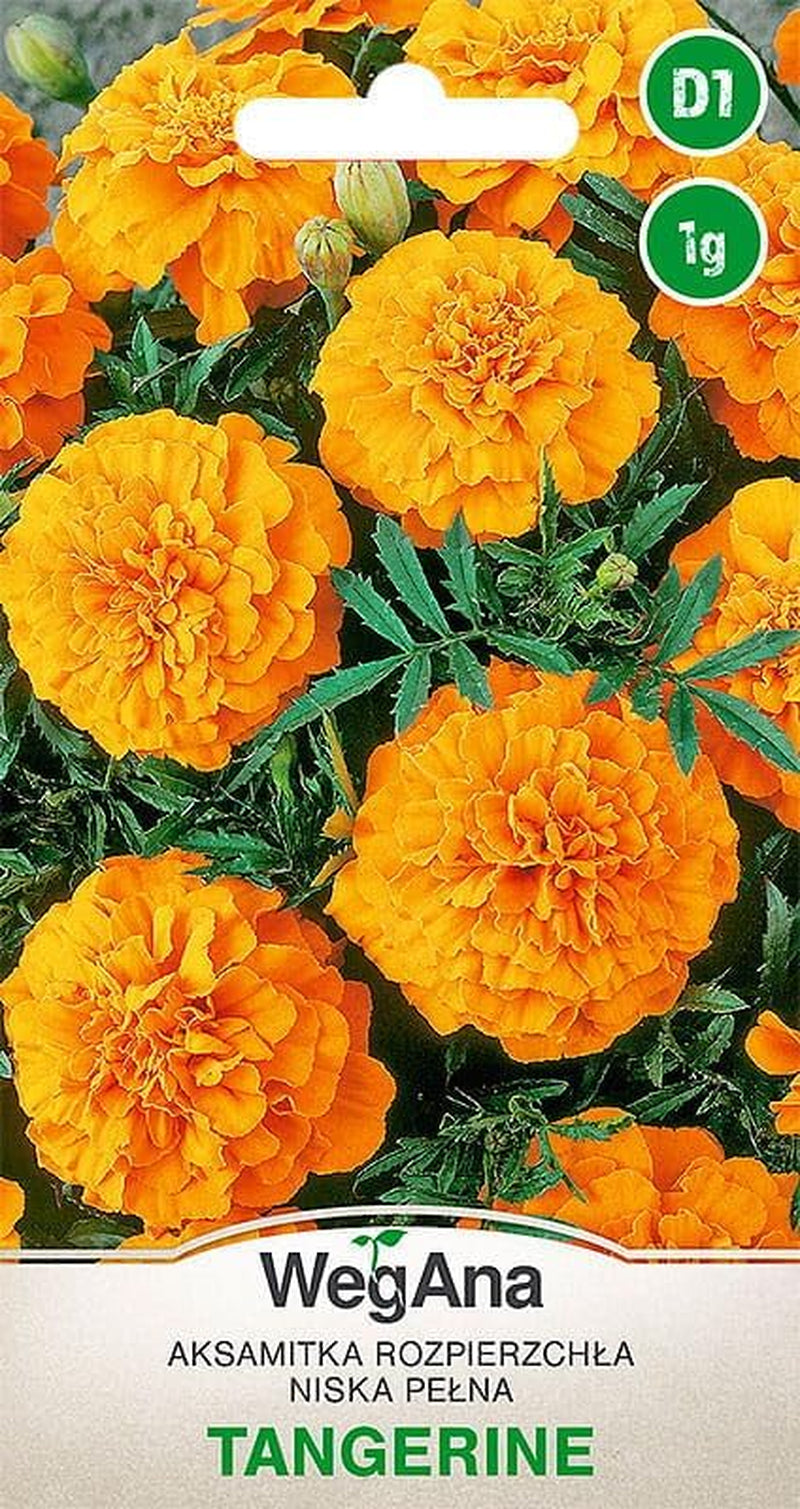 Semi Cosmos Sensation Mix 1g, Cosmos Mix Fiori estivi, Piante da giardino Piante da balcone, Semi di fiori