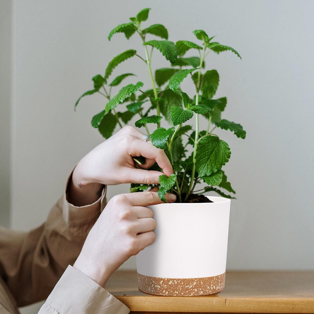 Set di 2 vasi da fiori da 12,7 cm, vasi per piante da interno con fori di drenaggio e base rimovibile, sottovasi decorativi moderni per fioriere da giardino all'aperto (Bianco 12,7 cm)