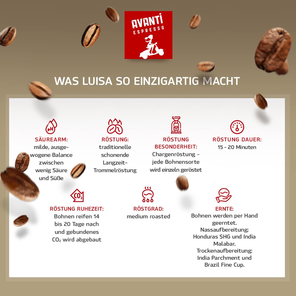 Cremă de cafea boabe Avanti Luisa 1000g, amestec 90% Arabica-10% Robusta, aromă delicată și fructată, prăjire tradițională în tambur