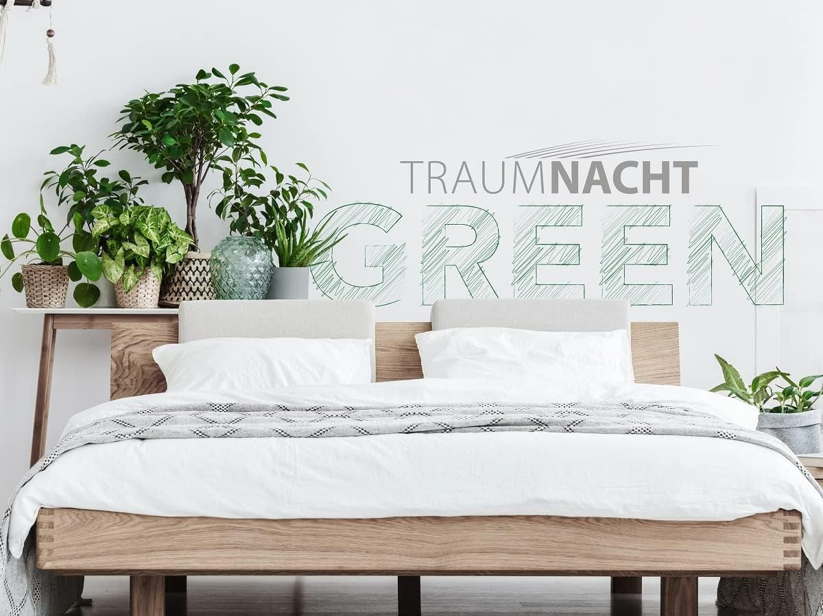 Set biancheria da letto Traumnacht Green - Trapunta per tutte le stagioni 135X200 cm + Cuscino 80X80 cm, resistente con rivestimento in microfibra, prodotto secondo gli standard di qualità tedeschi. Piumini e trapunte Naty Shop