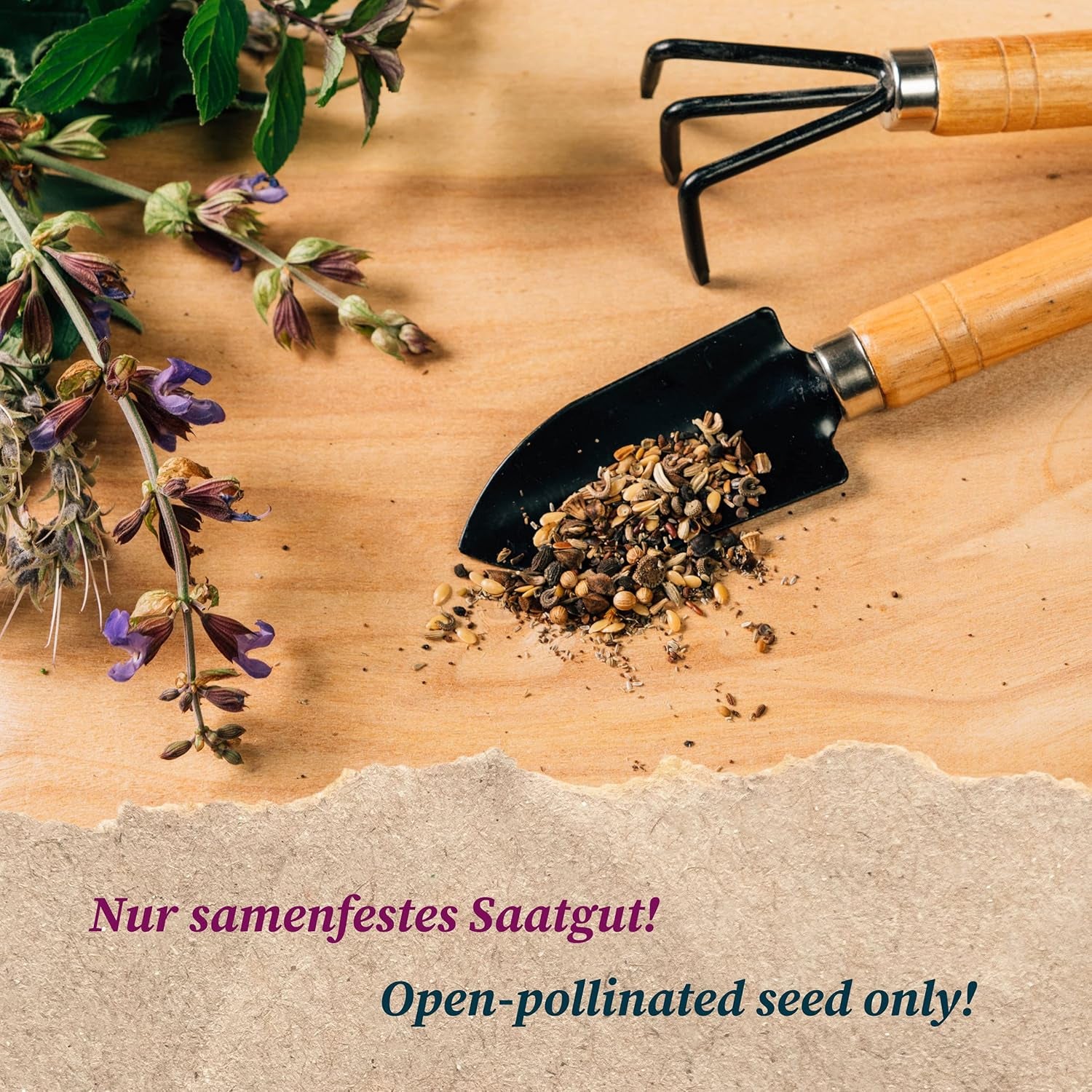 Äthiopische Eierfrucht (Solanum Aethiopicum) 20 Samen Afrikanische Sorte