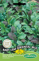 Kopfsalat MARVEL of WINTER, Mehrfarbig, EC6020