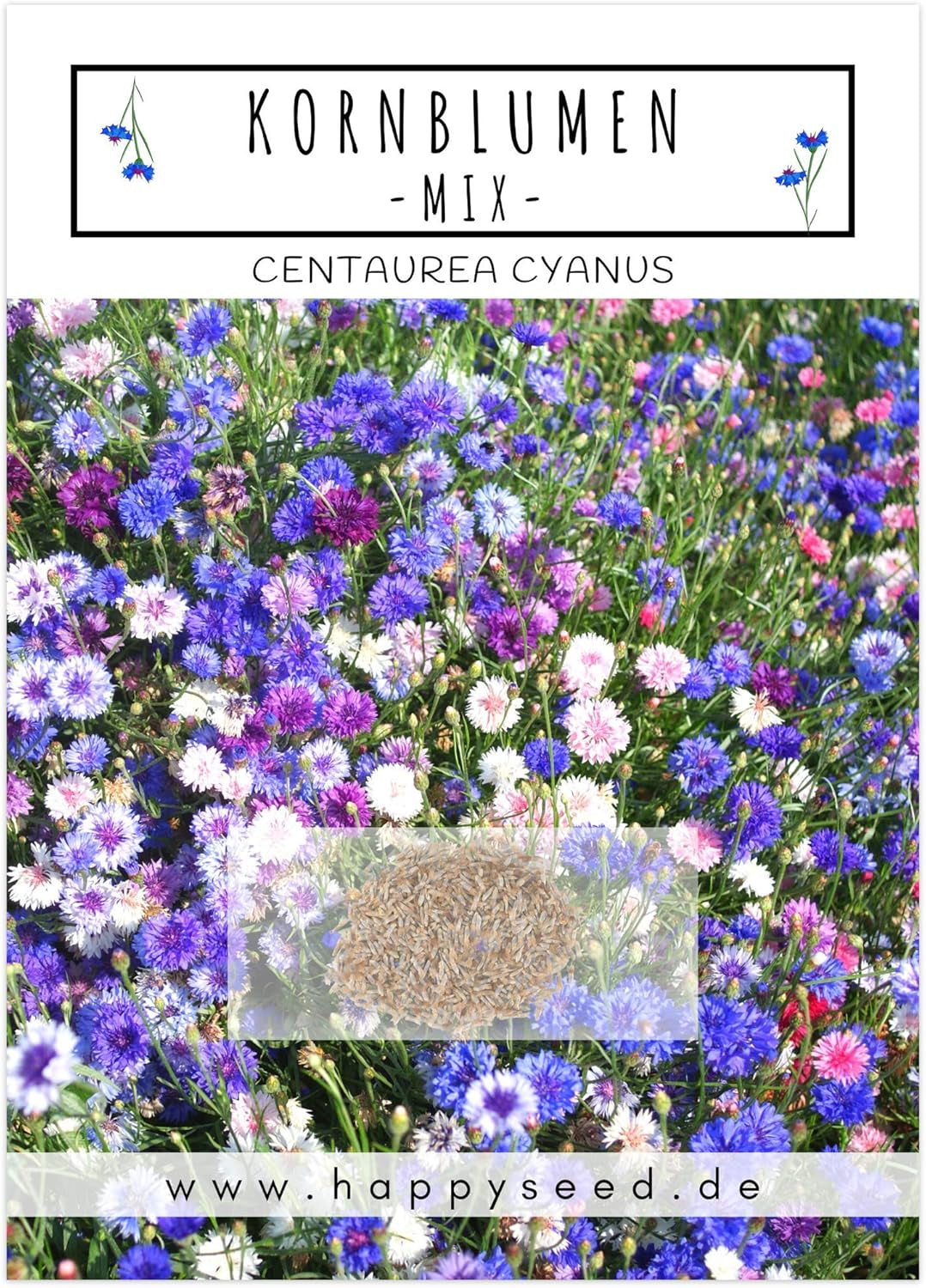Semi di Centaurea cyanus - Fiori belli e vivaci con un lungo periodo di fioritura per un prato fiorito colorato (Mix, 1000 semi, 80 cm)