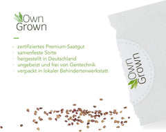 Balkon Tomaten Samen Für Ca 5X Tomaten Pflanze Theo : Premium Tomatensamen Für Kinder Und Erwachsene – Gemüse Samen – Garten Und Balkontomaten Samen – Gemüse Saatgut Für Kids – Saatgut Balkon Owngrown
