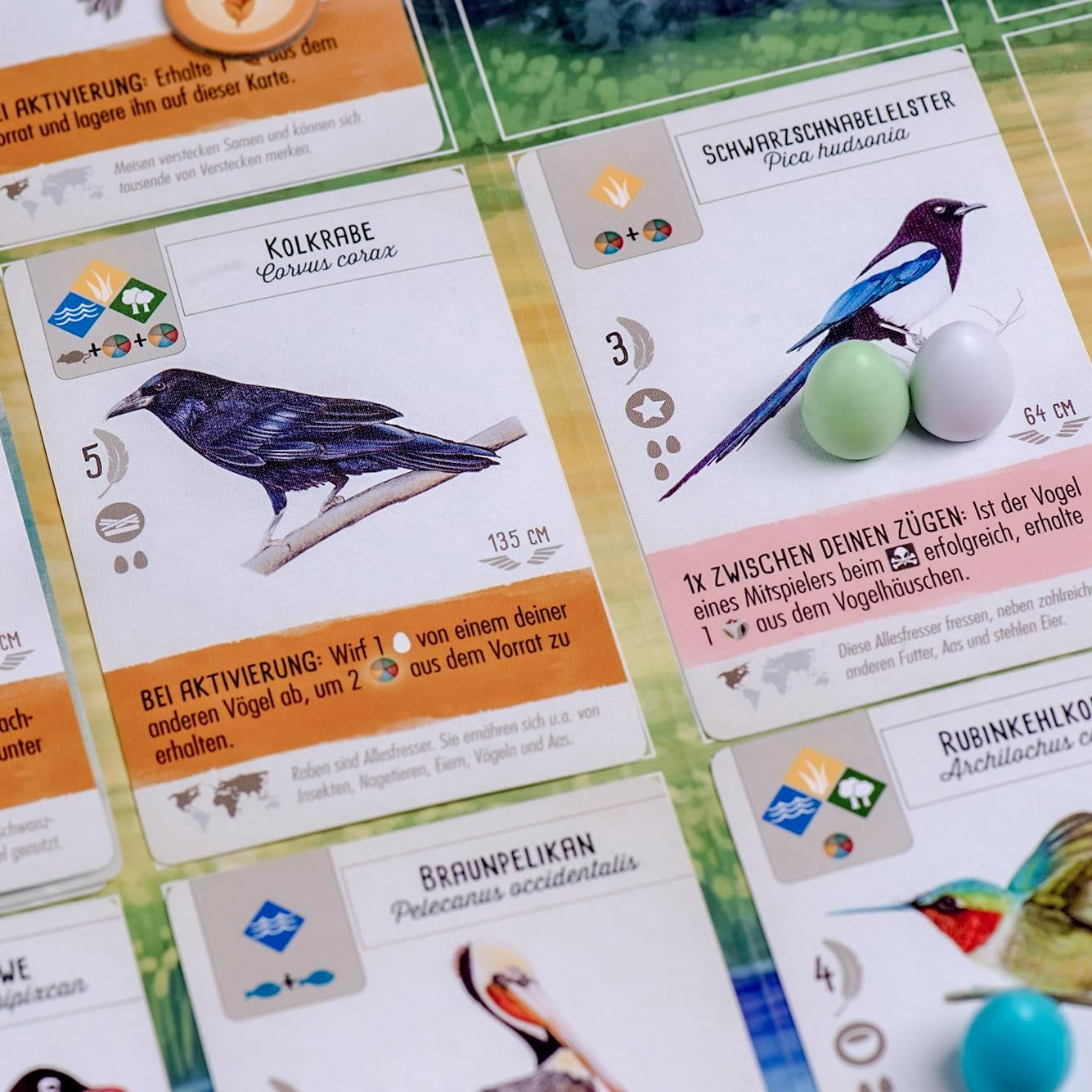 Feuerland Spiele 104-146-901 63558 Gioco da tavolo Wingspan Edizione tedesca - Kennerspiel des Jahres 2019 (Premio della critica)