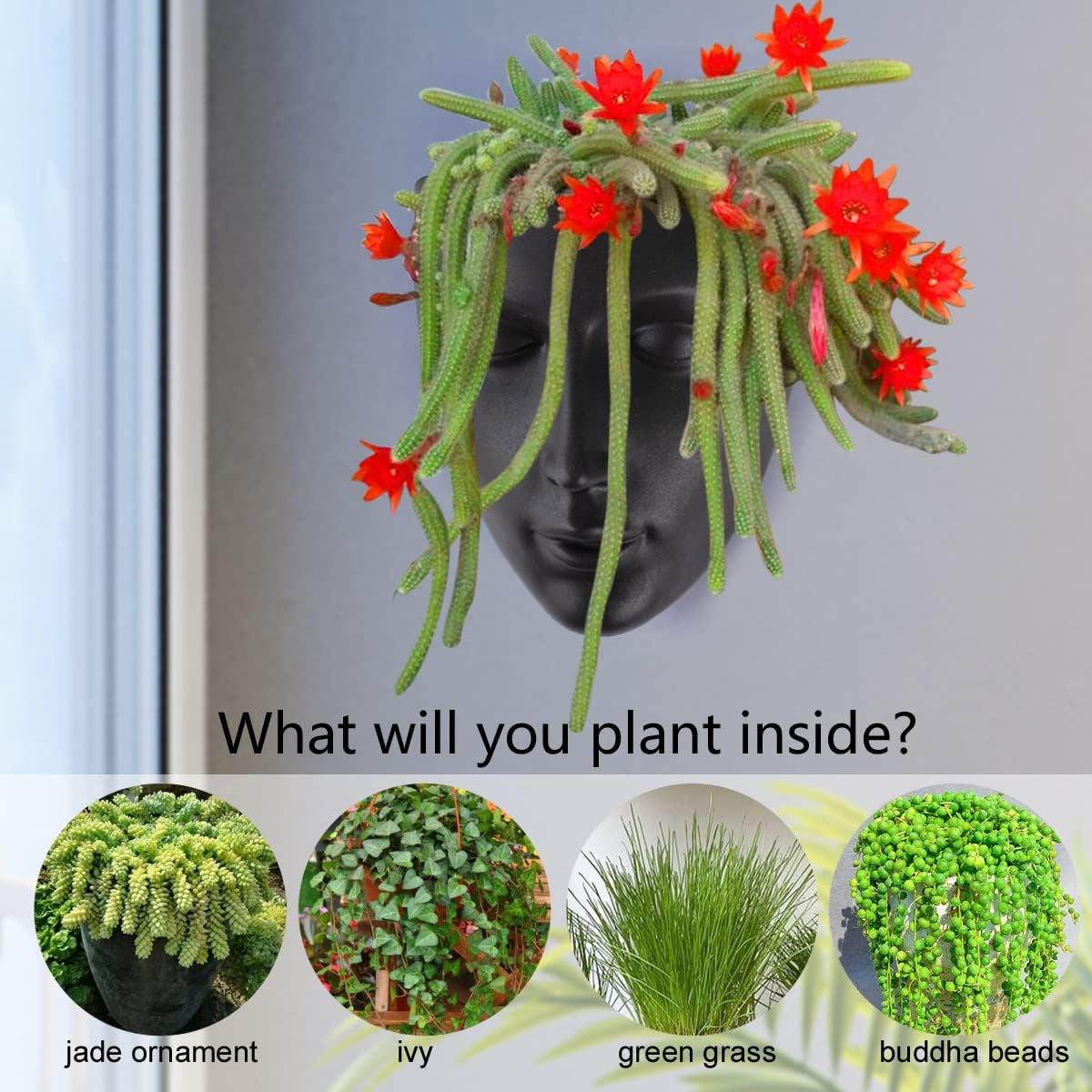 Jardinieră Notakia cu față, montată pe perete, pentru uz interior și exterior, cu drenaj, pentru suculente, cactuși și plante mici, decorațiune unică pentru casă, cadou pentru prieteni și familie