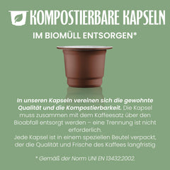 Caffè Vergnano 1882 - Èspressokompostierbare Kaffeekapseln, Kompatible Mit Nespresso, Napoli - Packung Enthält 100 Kapseln