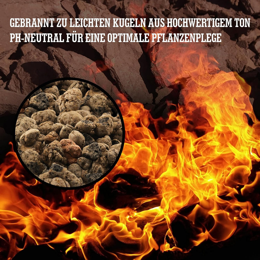 LERAVA® Argilla espansa (1L) – Granuli di argilla per piante d'appartamento e coltura idroponica – Argilla vegetale con pH neutro per un drenaggio ottimale – Ideale come strato drenante o granuli di argilla decorativa per piante