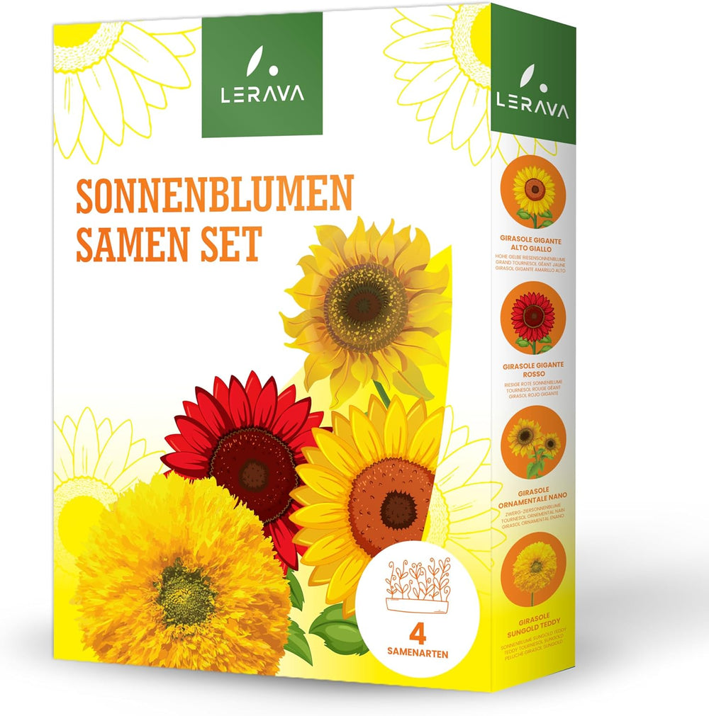 LERAVA® Sonnenblumen Samen Set (4 tipi) - Riesige gelbe & rote Sonnenblume - Zwerg und Sungold Teddy - Premium Sonnenblumensamen für Garten und Balkon - Blumensamen Geschenk für Hobbygärtner