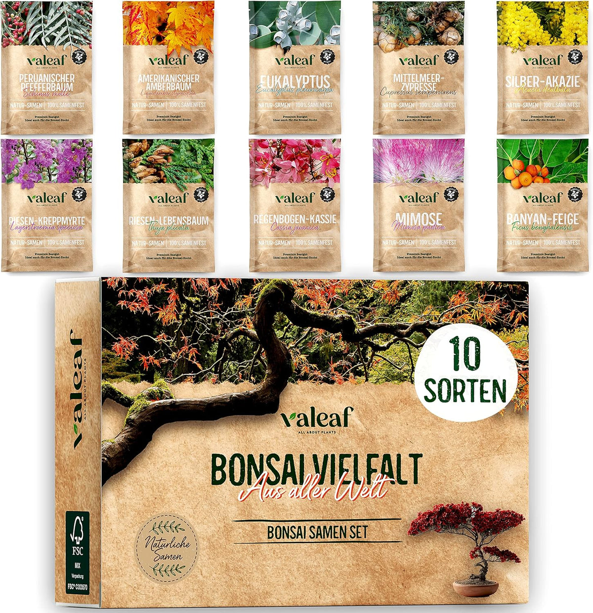 10 semi di bonsai da 5 continenti | Semi di alberi esotici per il tuo bonsai unico | Starter Kit e appassionati di piante | Il nostro set bonsai come idea regalo speciale