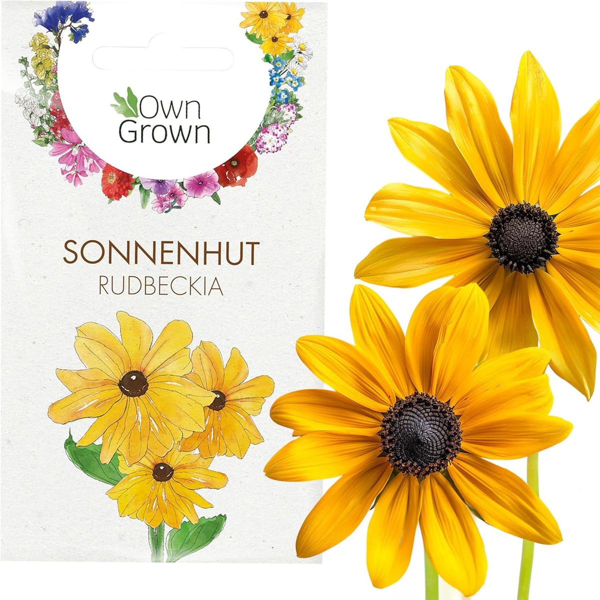 Semi di Echinacea: semi di Echinacea gialli premium per circa 20 piante di Echinacea da fiore – Semi di Rudbeckia – Rudbeckia resistente – Piante perenni di Echinacea – Piante perenni resistenti di OwnGrown