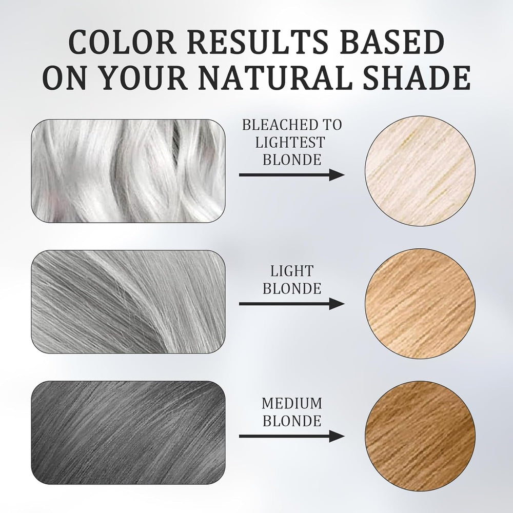 2-in-1 Vopsea de păr gri argintiu Vopsea de păr din plante naturale gri argintiu pentru toate tipurile de păr potrivite cu instrumente de unică folosință (100g) Vopsea pentru par Naty Shop