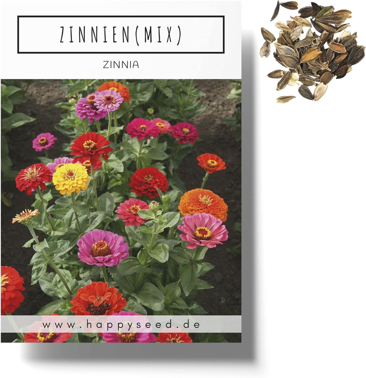 Mix di semi di zinnia (Zinnia) - Fiori estivi colorati per aiuole, balconi, terrazze e come fiori recisi in vasi