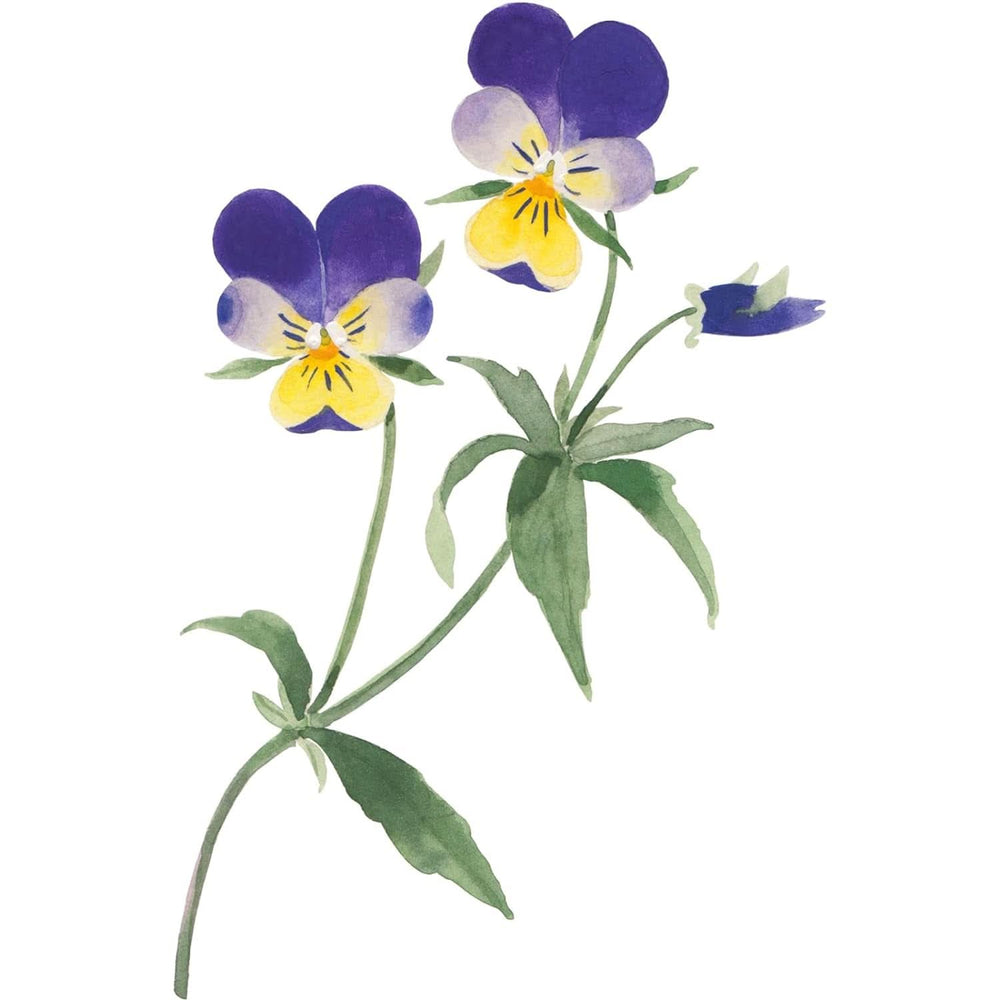 WELEDA Organic Skin Food Body Butter, Crema corpo unisex per la cura della pelle secca e ruvida, 150 ml Doccia e bagno Naty Shop