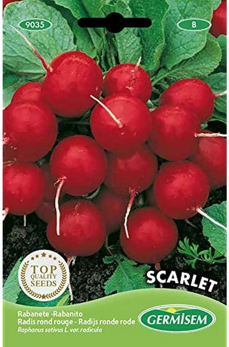 Radieschen SCARLET, Mehrfarbig, EC9035