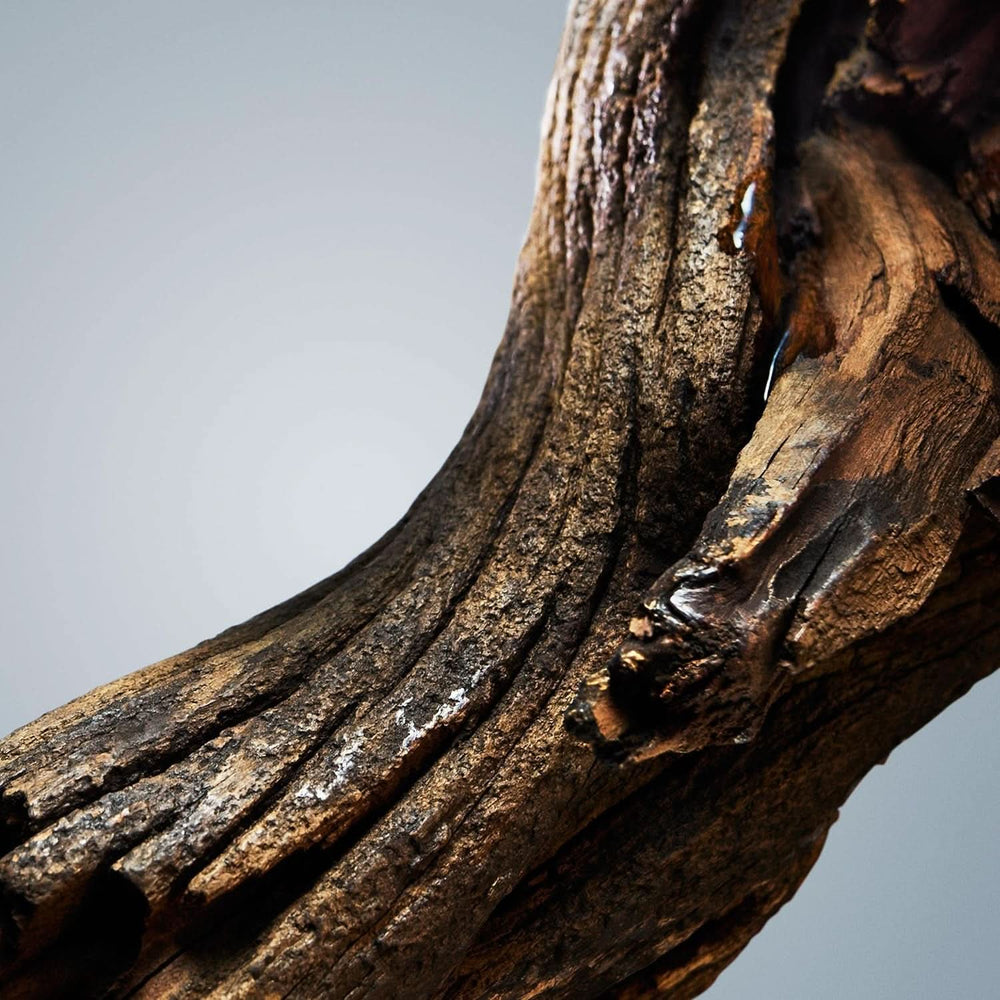 BOSS, gel doccia, fragranza legnosa orientale da uomo con note di cannella e muschio, 150 ml Doccia e bagno Naty Shop