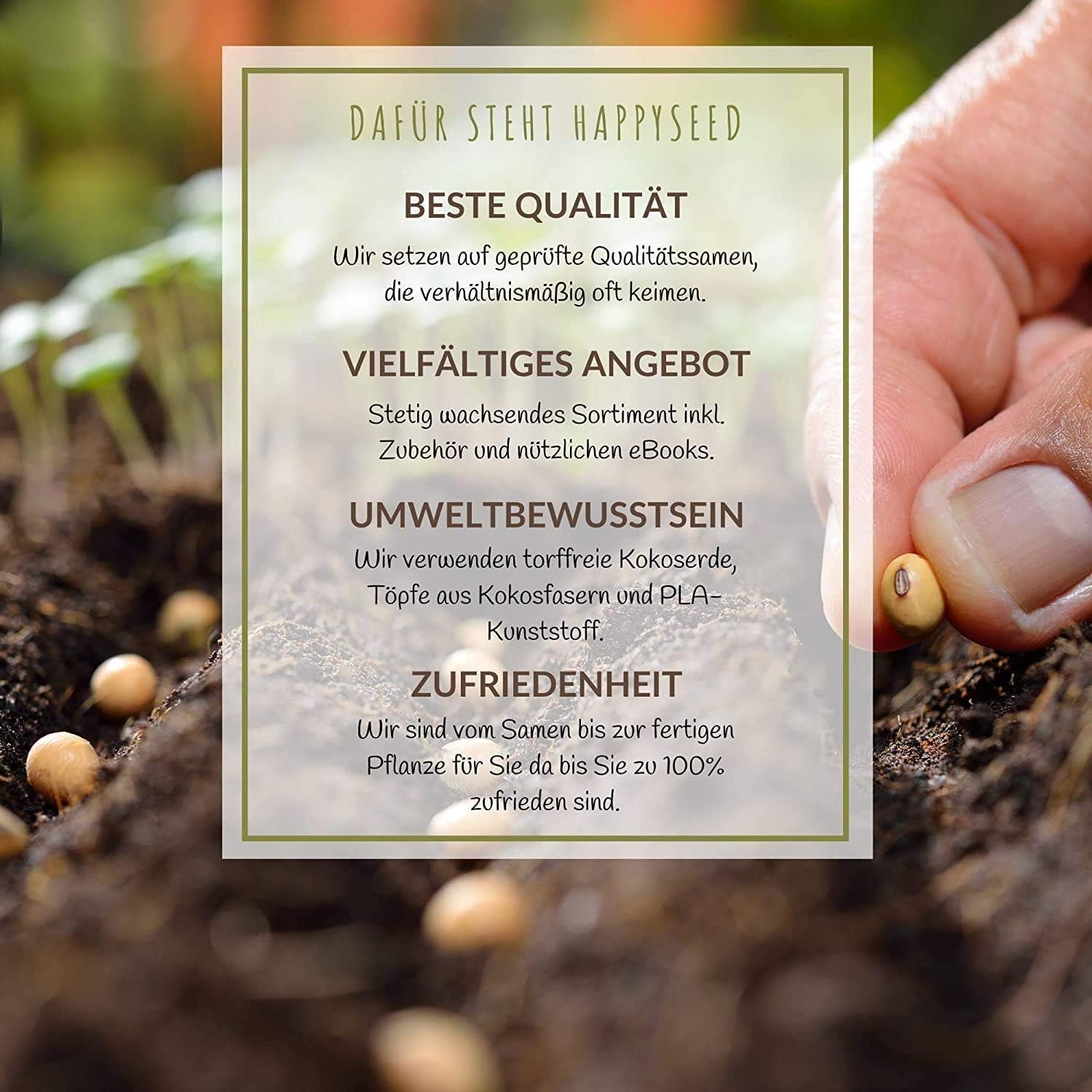 100 g di semi di fiori di campo per un pascolo di api colorato - Miscela di semi di fiori di campo vibranti e ricchi di nettare per api e farfalle (include eBook GRATUITO)