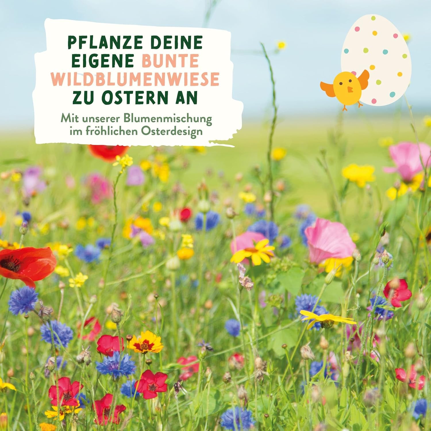 Semi di prato di fiori selvatici | Semi di fiori regalo di Pasqua, semi di erba pasquale | Semi di fiori di Pasqua e regali di Pasqua per bambini | Semi di fiori di campo | Pacchetti di semi per un prato fiorito