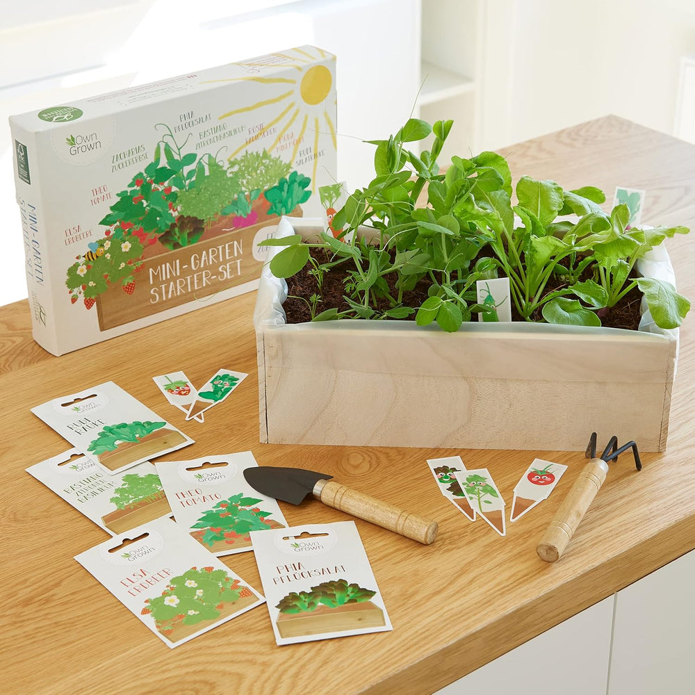 Kit per la coltivazione di semi con scatola di legno e 8 varietà di semi di piante: kit per la coltivazione di semi di verdure, fragole ed erbe aromatiche per bambini - Mini serra e mini giardino Starter Kit di OwnGrown