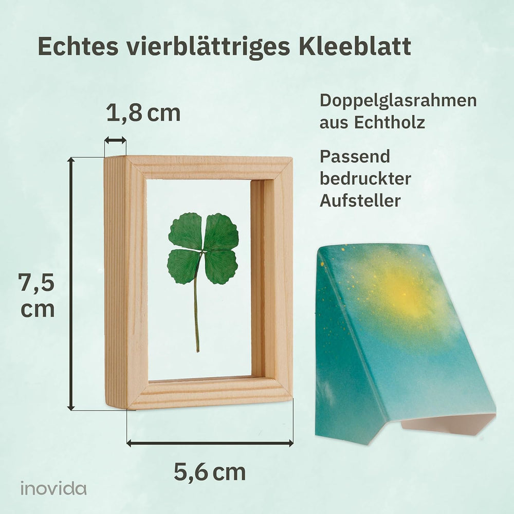 Kleine Glücksbringer: Echtes Vierblättriges Kleeblatt Zum Verschenken Im Holzrahmen – Kleines Geschenk Für Glück – Aufmunterung Geschenke – Dankeschön Geschenke Klein – Glücksbringer Prüfung