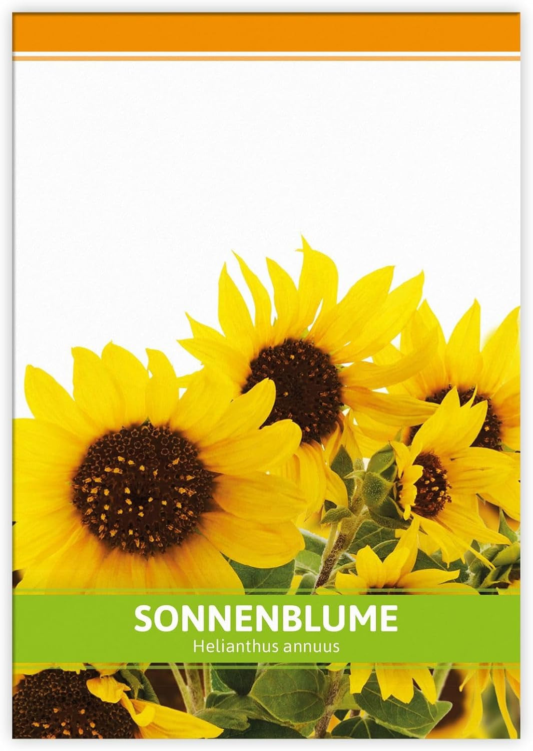 FLORTUS Sonnenblumen Samen Für Gastgeschenke (100 Tütchen) | Blumensamen Perfekt Als Dankeschön Geschenke, Werbegeschenke & Gastgeschenke Hochzeit