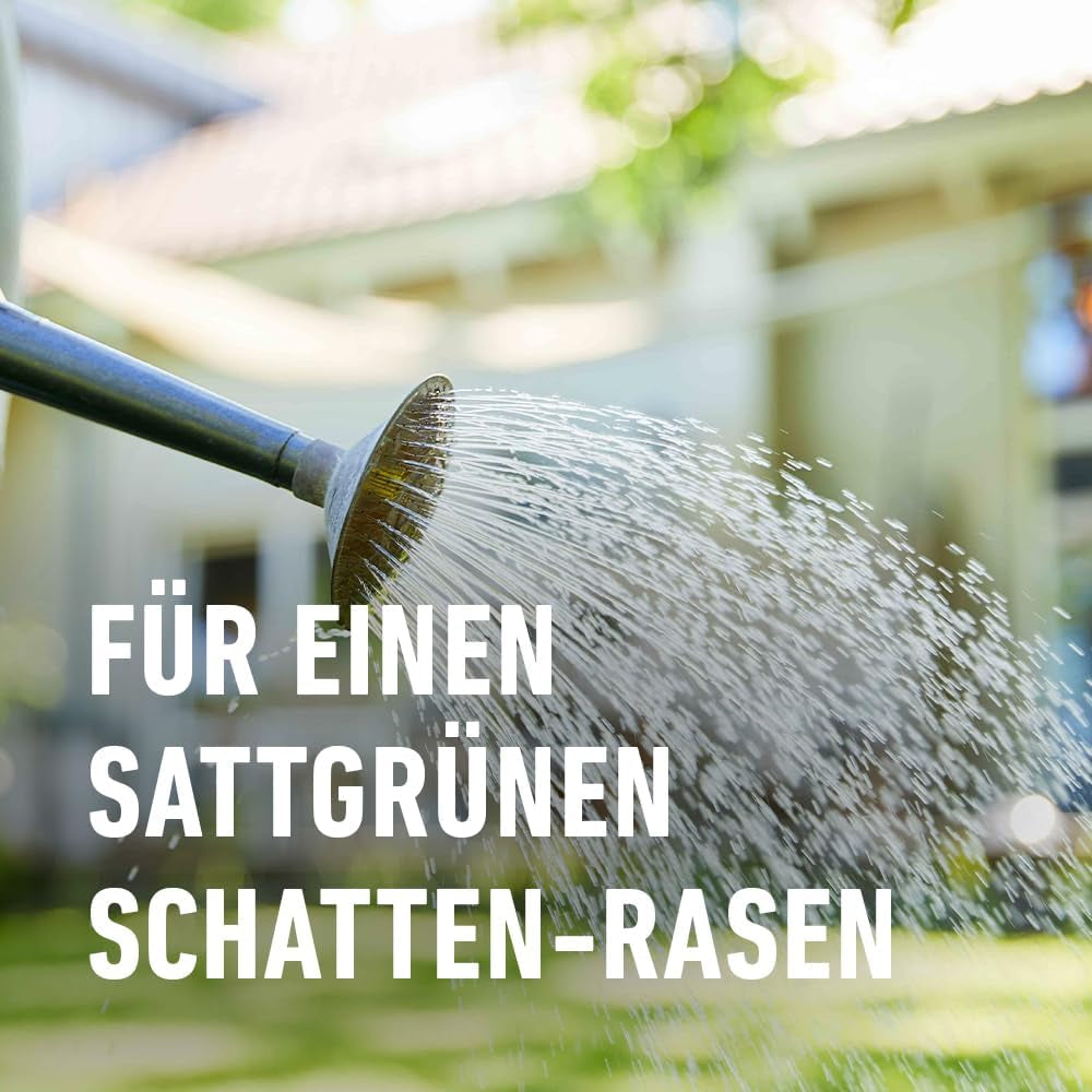 Compo SAAT Schattenrasen 1 Kg